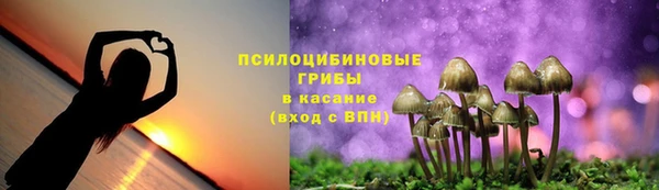 соль курить ск Алексин