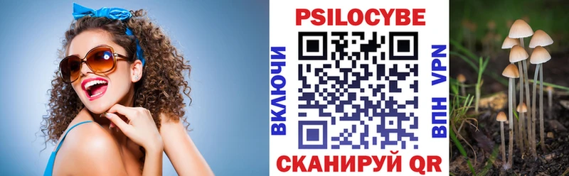 хочу   Апшеронск  блэк спрут   Галлюциногенные грибы Psilocybine cubensis 