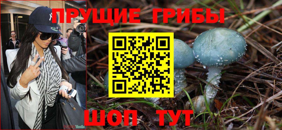 Псилоцибиновые грибы Psilocybine cubensis Апшеронск