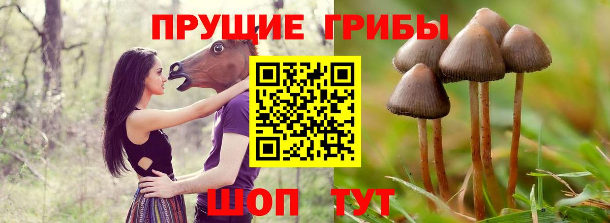 Псилоцибиновые грибы мухоморы  Вход с VPN  Апшеронск 