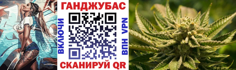 продажа наркотиков  мега вход  Конопля сатива  Апшеронск 