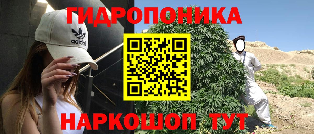 Каннабис Amnesia Апшеронск
